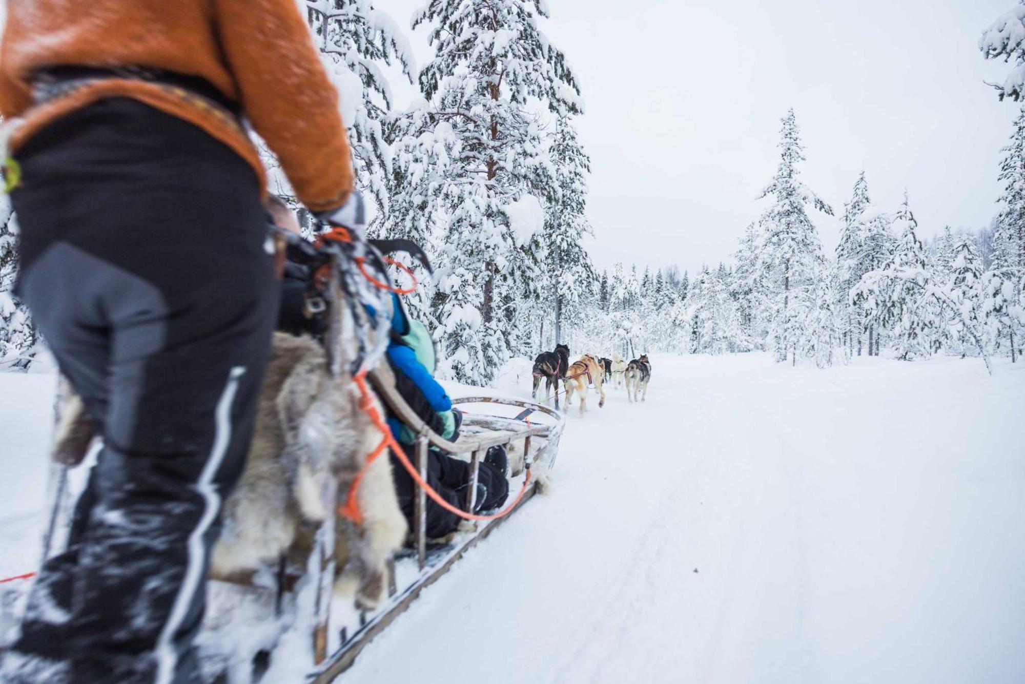 Hotel Reindeer Manor Levi Zewnętrze zdjęcie